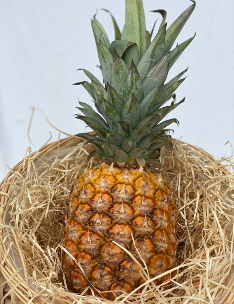 Ananas