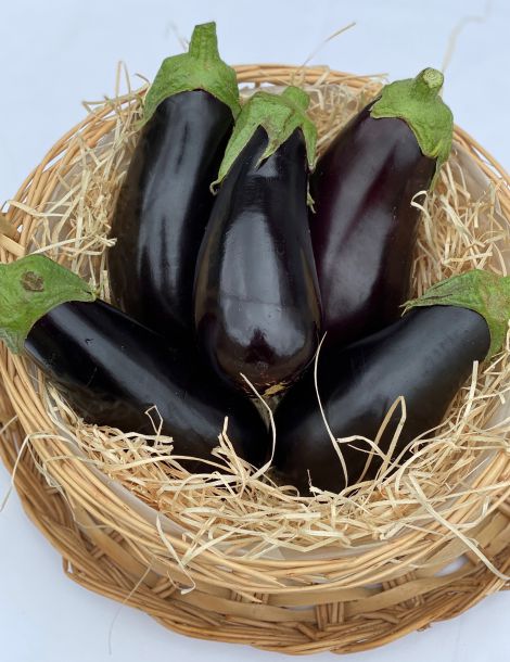 Aubergine