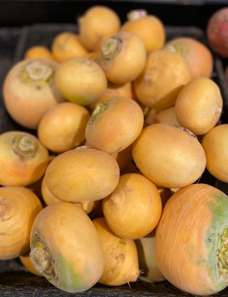 Navet jaune - Boule d'or