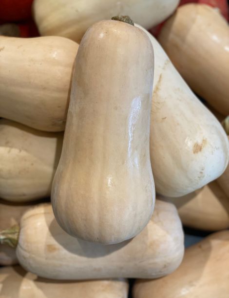 butternut.jpeg