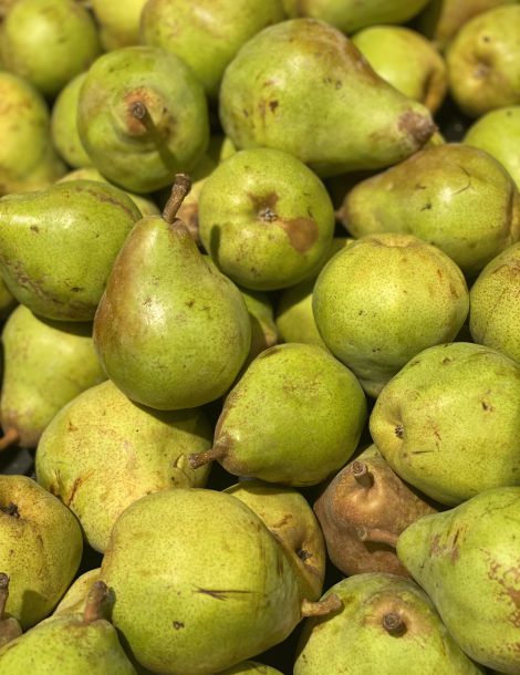 Poire Comice