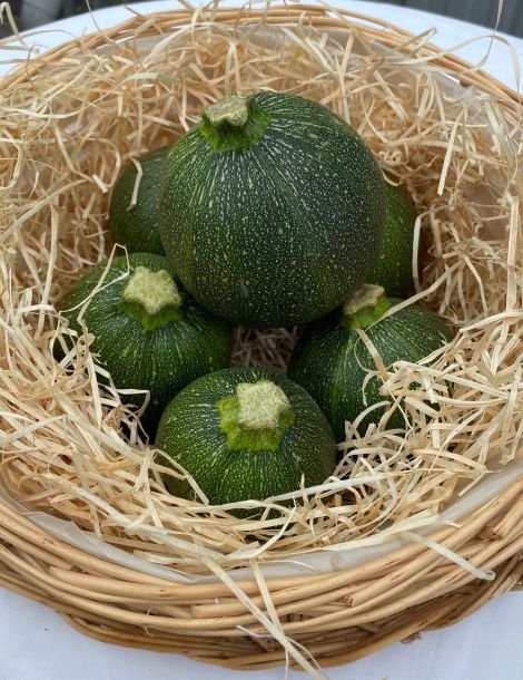 courgetteronde.jpeg