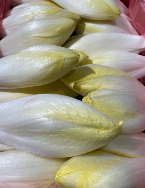 Endive