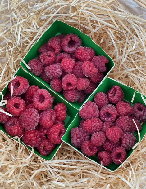 Framboise