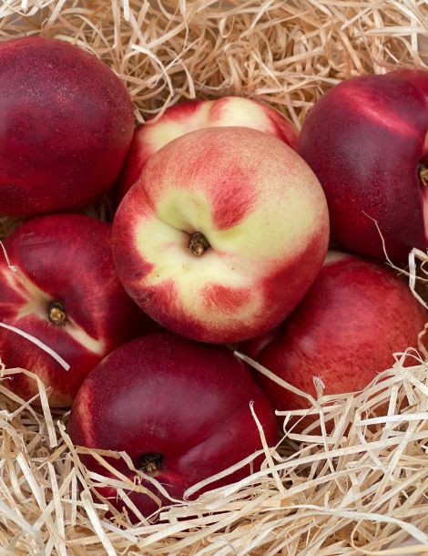 Nectarine blanche