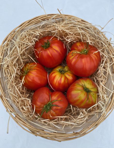 Tomate coeur de boeuf